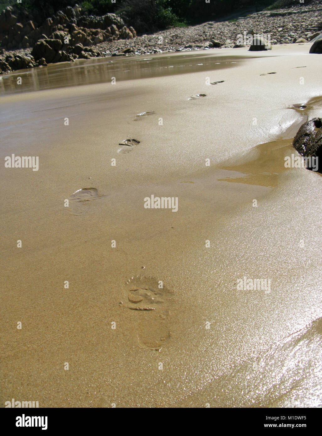 Footsteps in sand on wet beach, South Africa Stock Photo