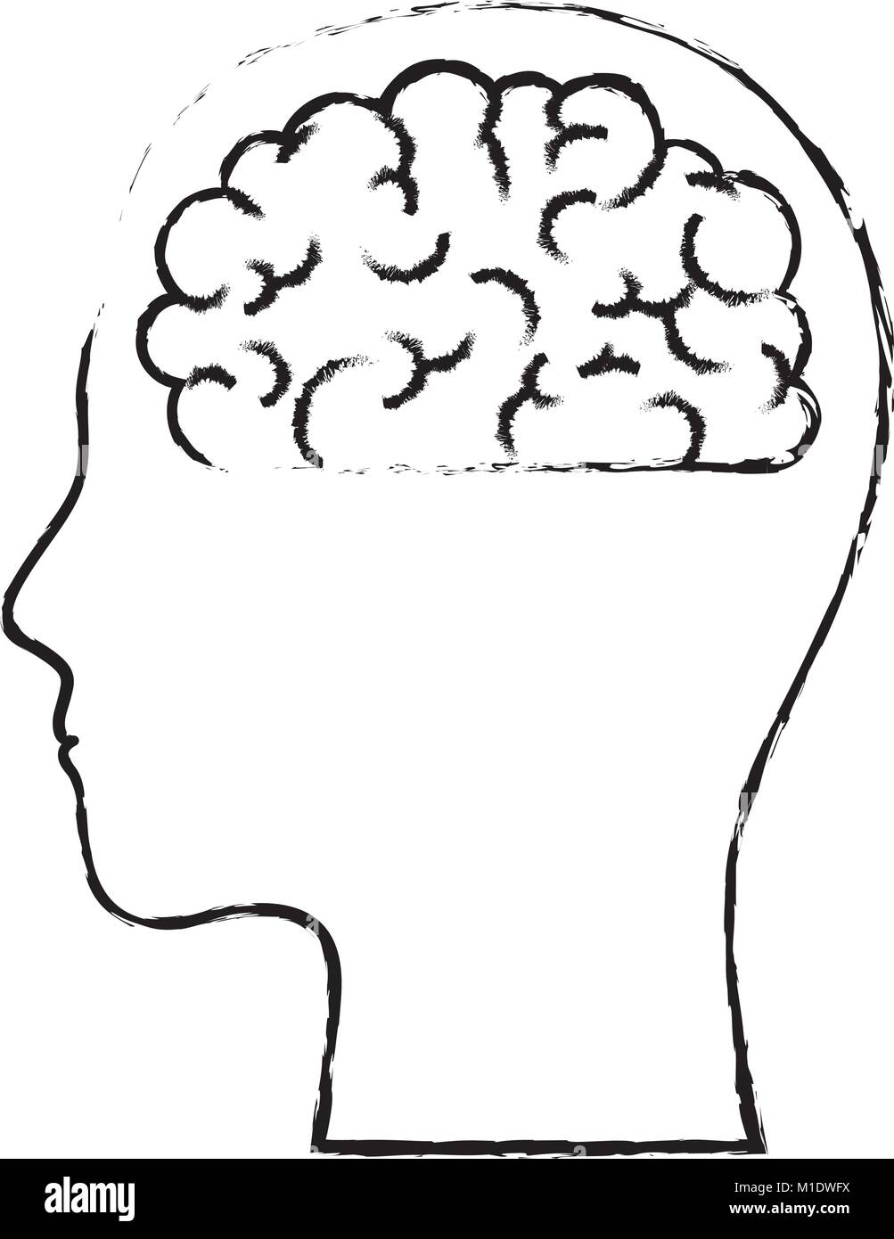 human face silhouette with brain inside in black blurred contour Stock ...