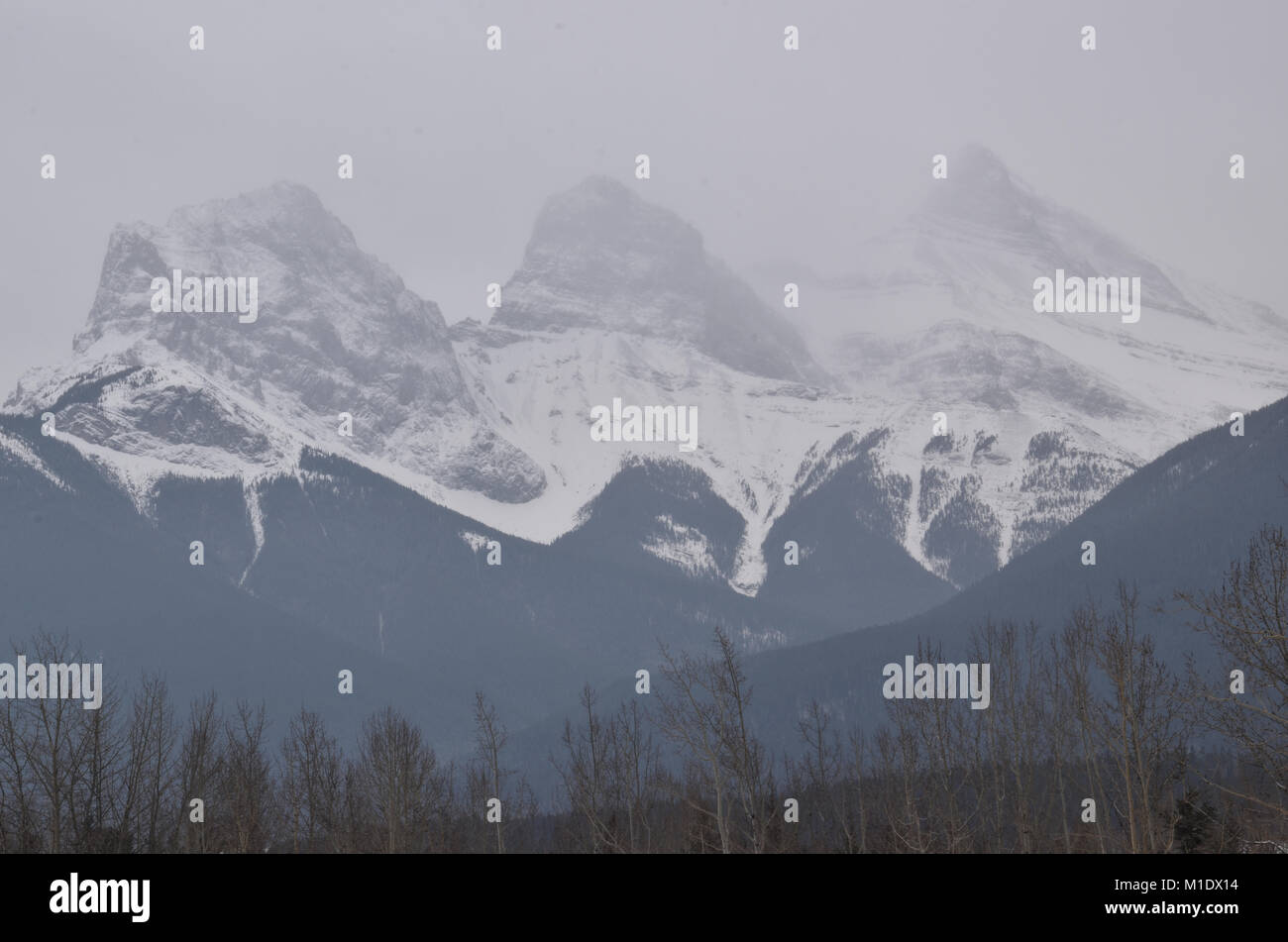 snow Covered Mountains with grey skies and treeline, Three Sisters
