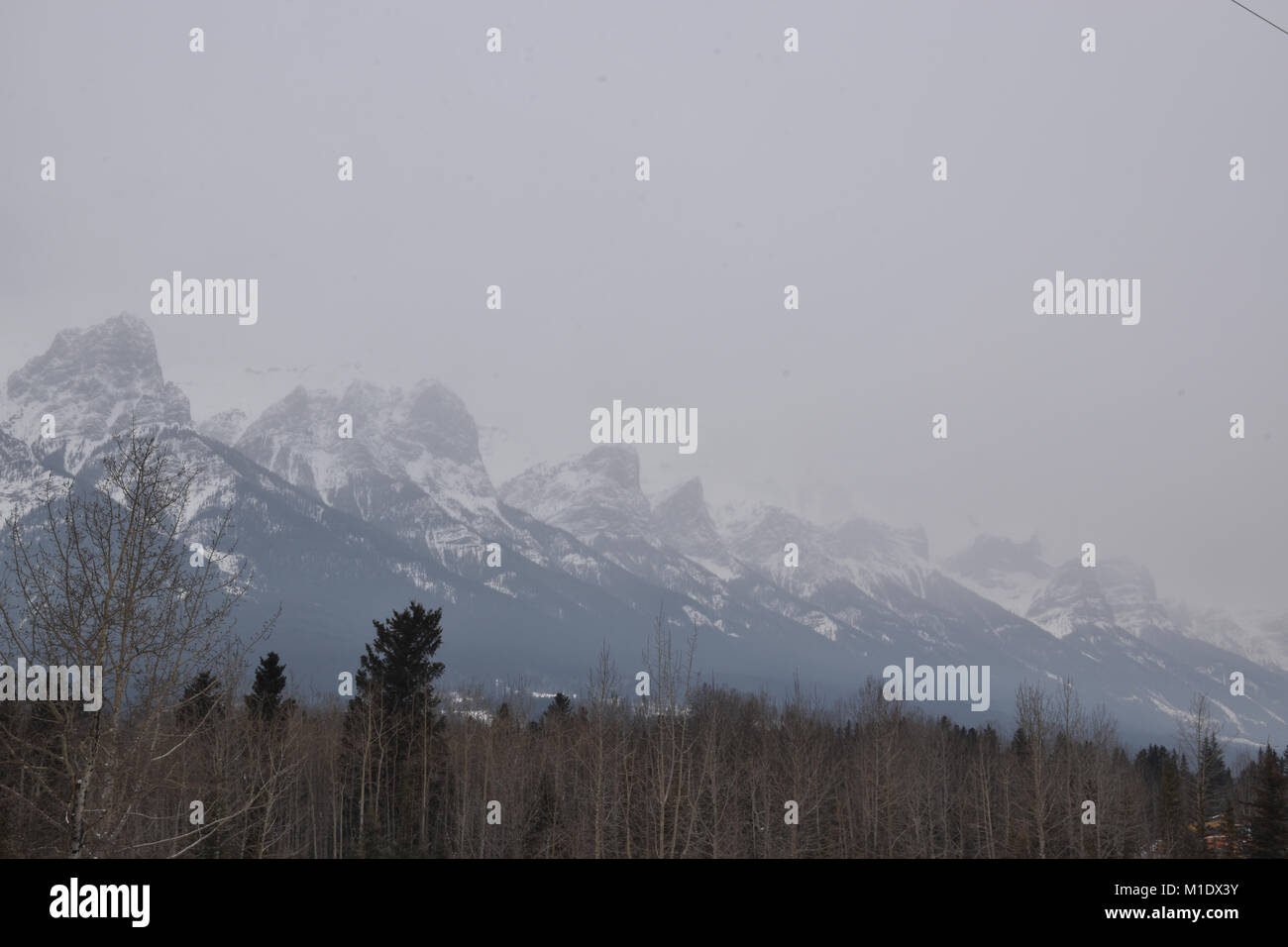 snow Covered Mountains with grey skies and treeline, Three Sisters