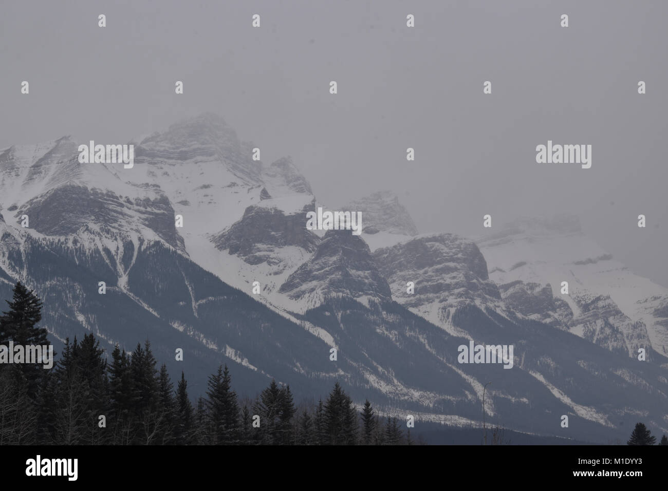 snow Covered Mountains with grey skies and treeline, Canmore, Alberta