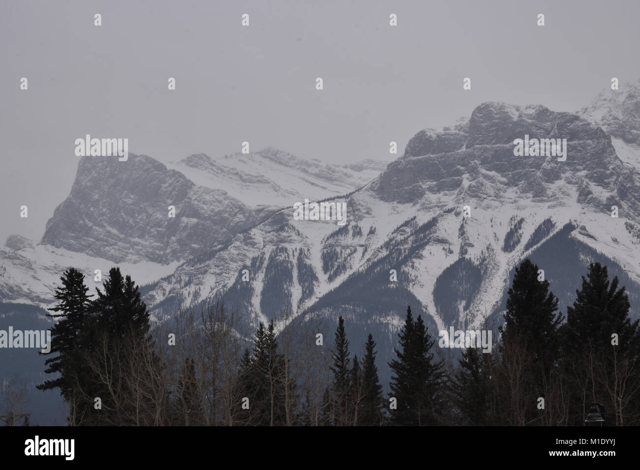 snow Covered Mountains with grey skies and treeline, Canmore, Alberta
