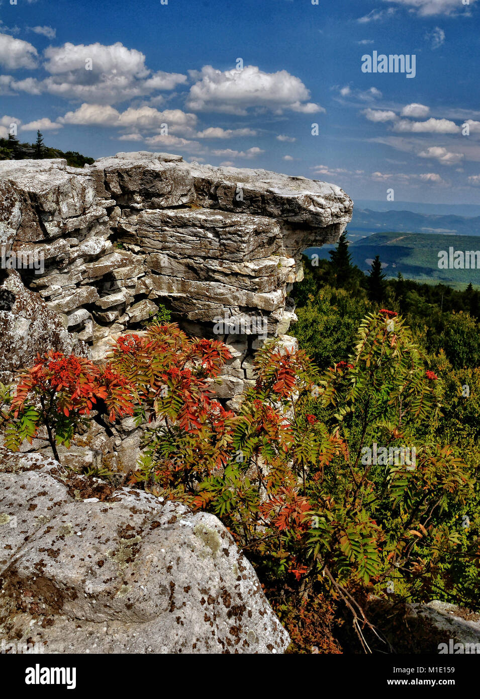 Bear Rocks Dolly Sods West Virginia Stock Photo