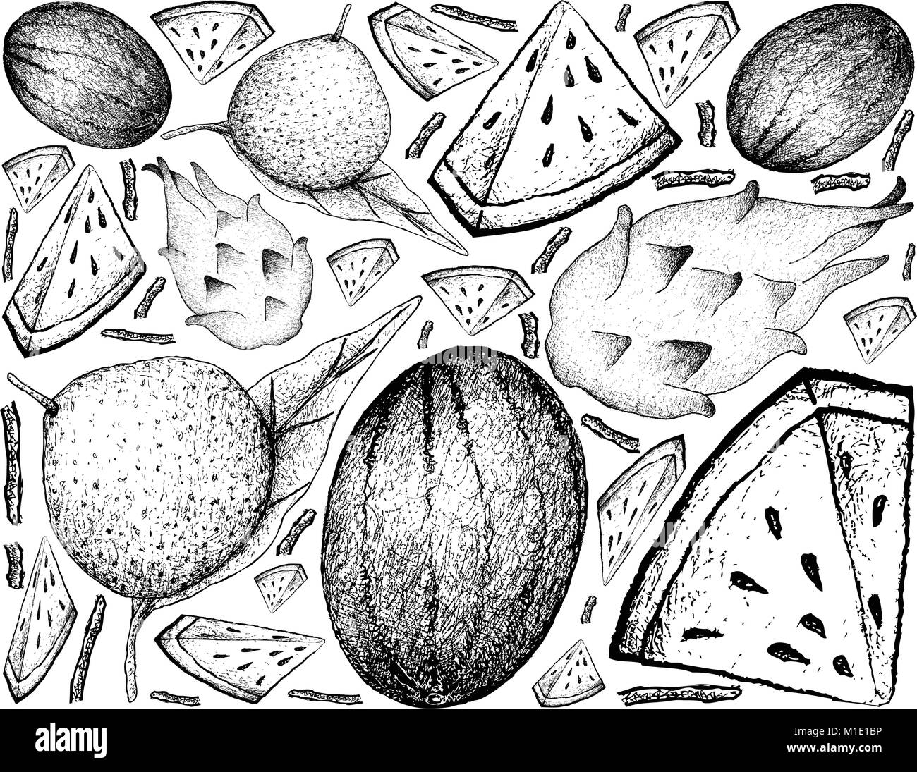 Doodle Style Fruit Images Stock Photos Vectors Shutterstock