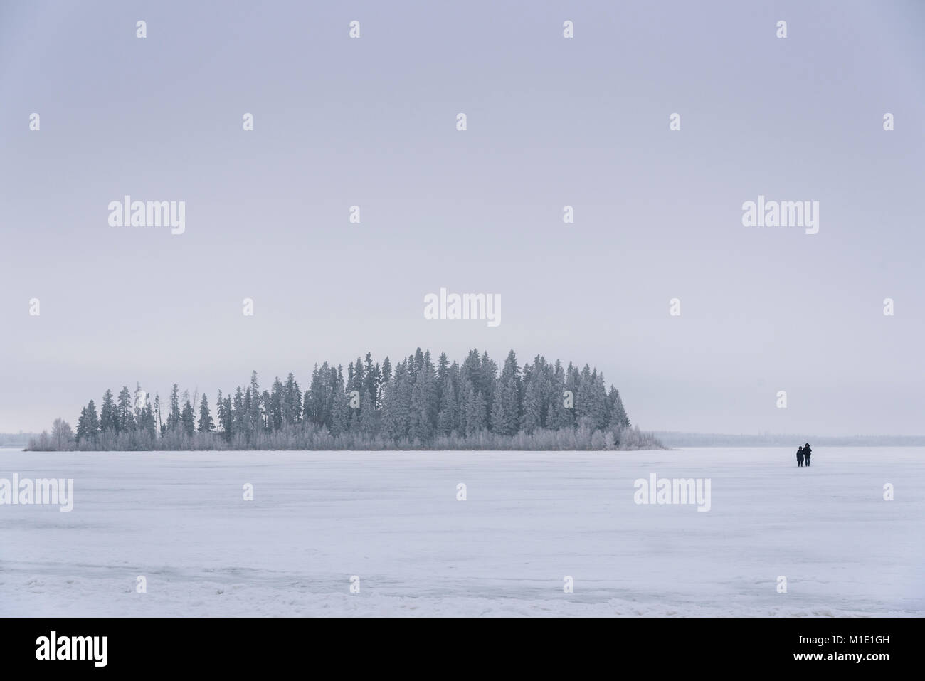 Couple walking on Astotin Lake, frozen winter landscape, Elk Island National Park, Alberta, Canada Stock Photo