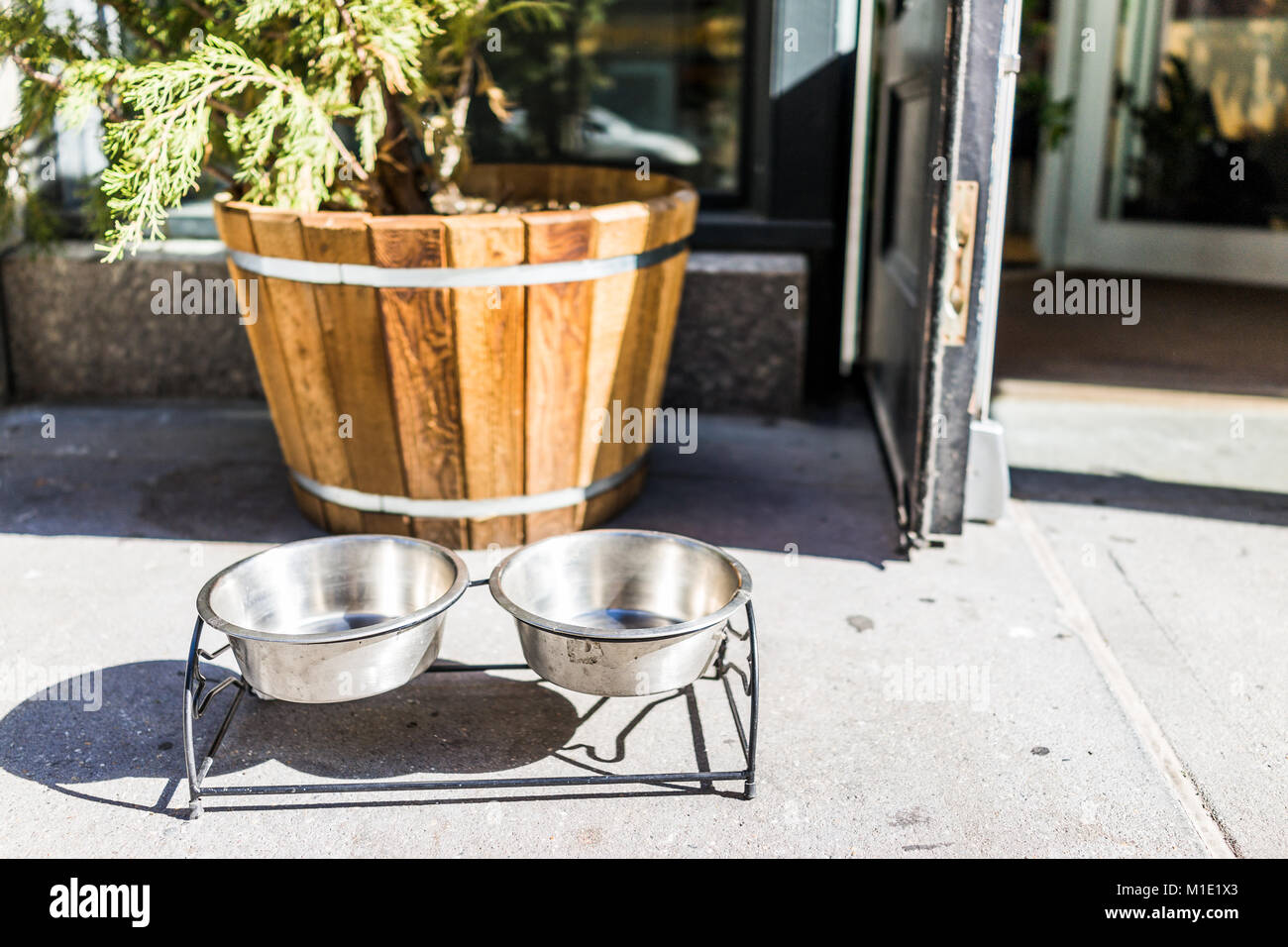 outside dog water bowl