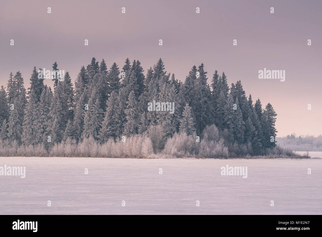 Mist over boreal forest hi-res stock photography and images - Alamy