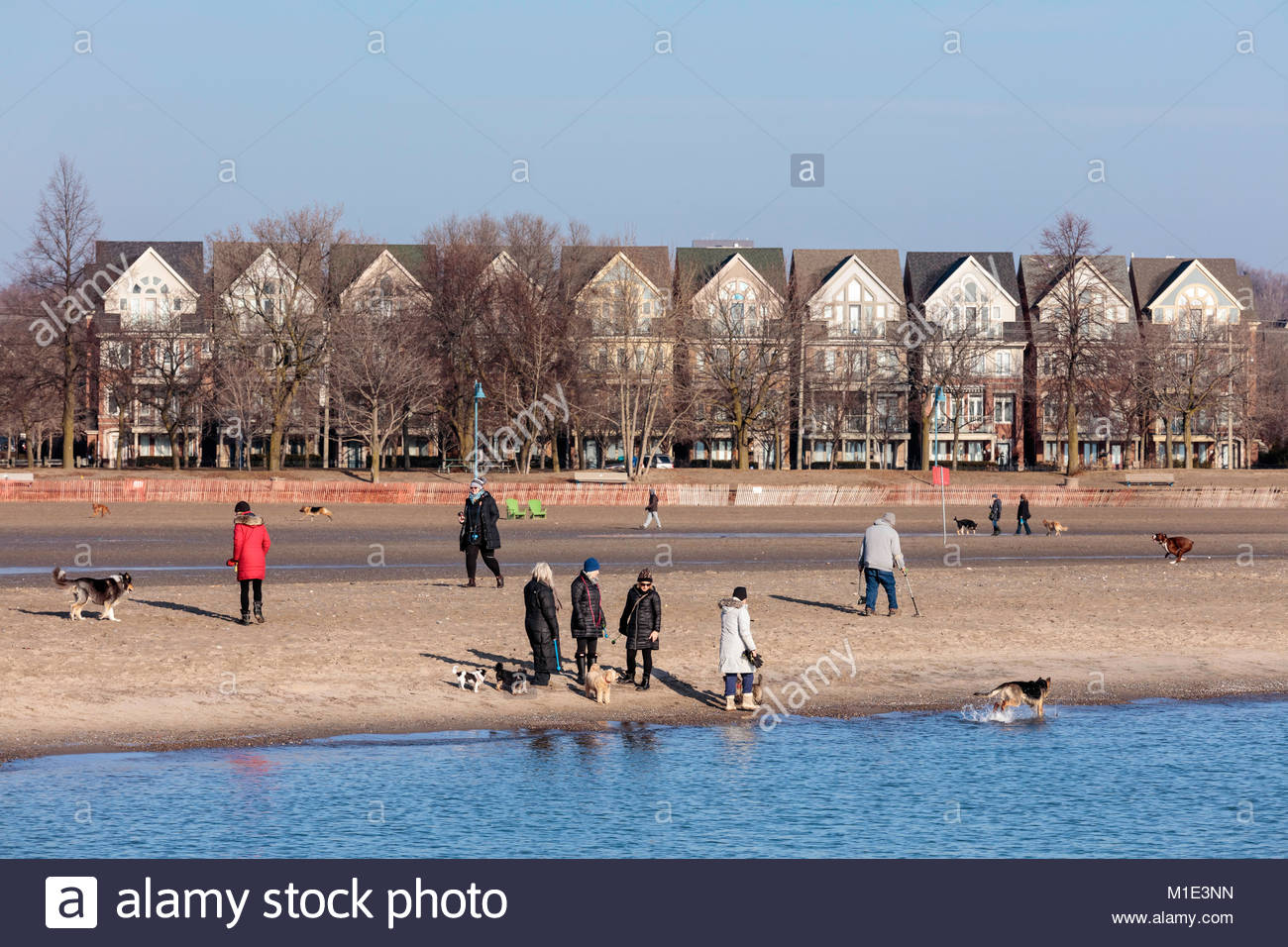 People Walking The Dog At Woodbine Beach On A Warm Day In Winter In Stock Photo Alamy