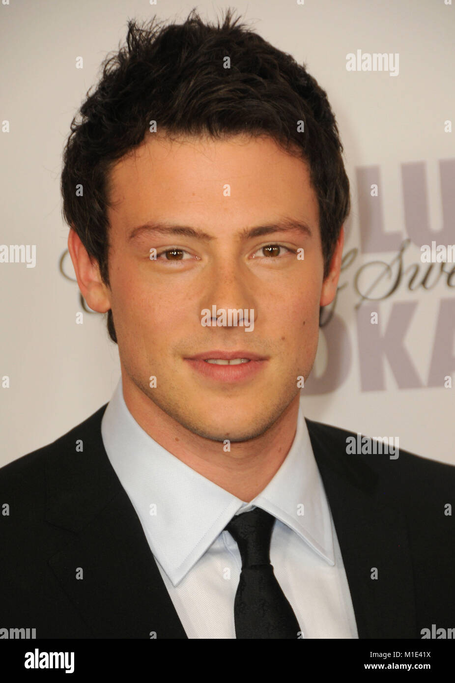 CENTURY CITY, CA - APRIL 17: Actor Corey Monteith attends the 21st annual GLAAD Media Awards on the Hyatt Regency Century Plaza on April 17, 2010 in Century City, California. Photo by Barry King/Alamy Stock Photo Stock Photo