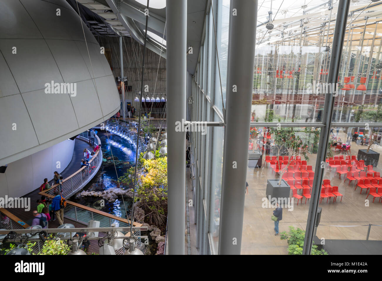 Interior view of the California Academy of Sciences Museum, Golden Gate