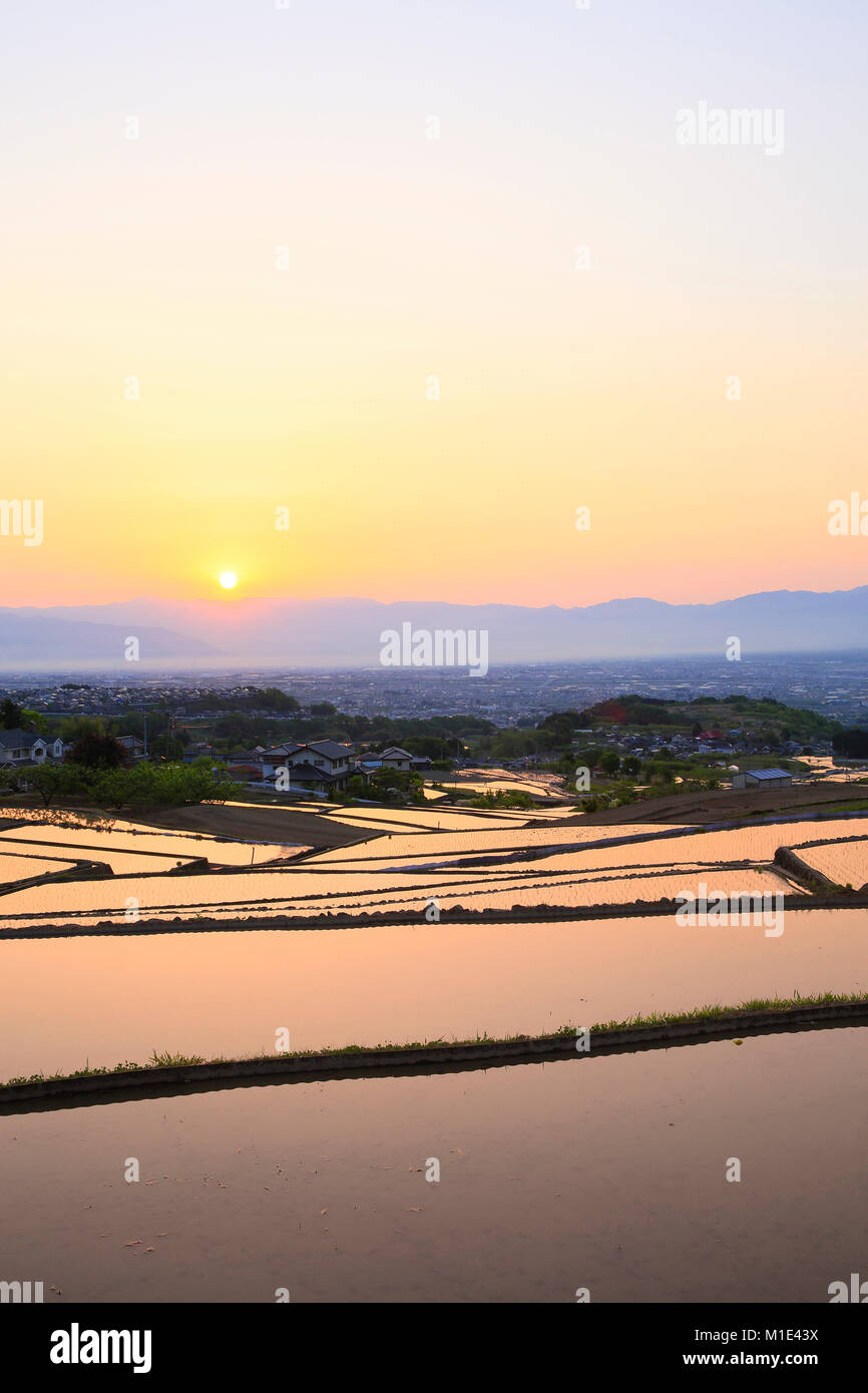 Rice Paddies, Yamanashi Prefecture, Japan Stock Photo Alamy