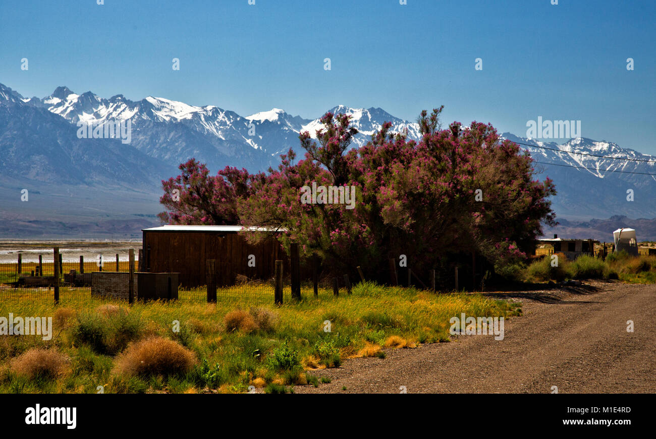 Views from Keeler California Stock Photo Alamy
