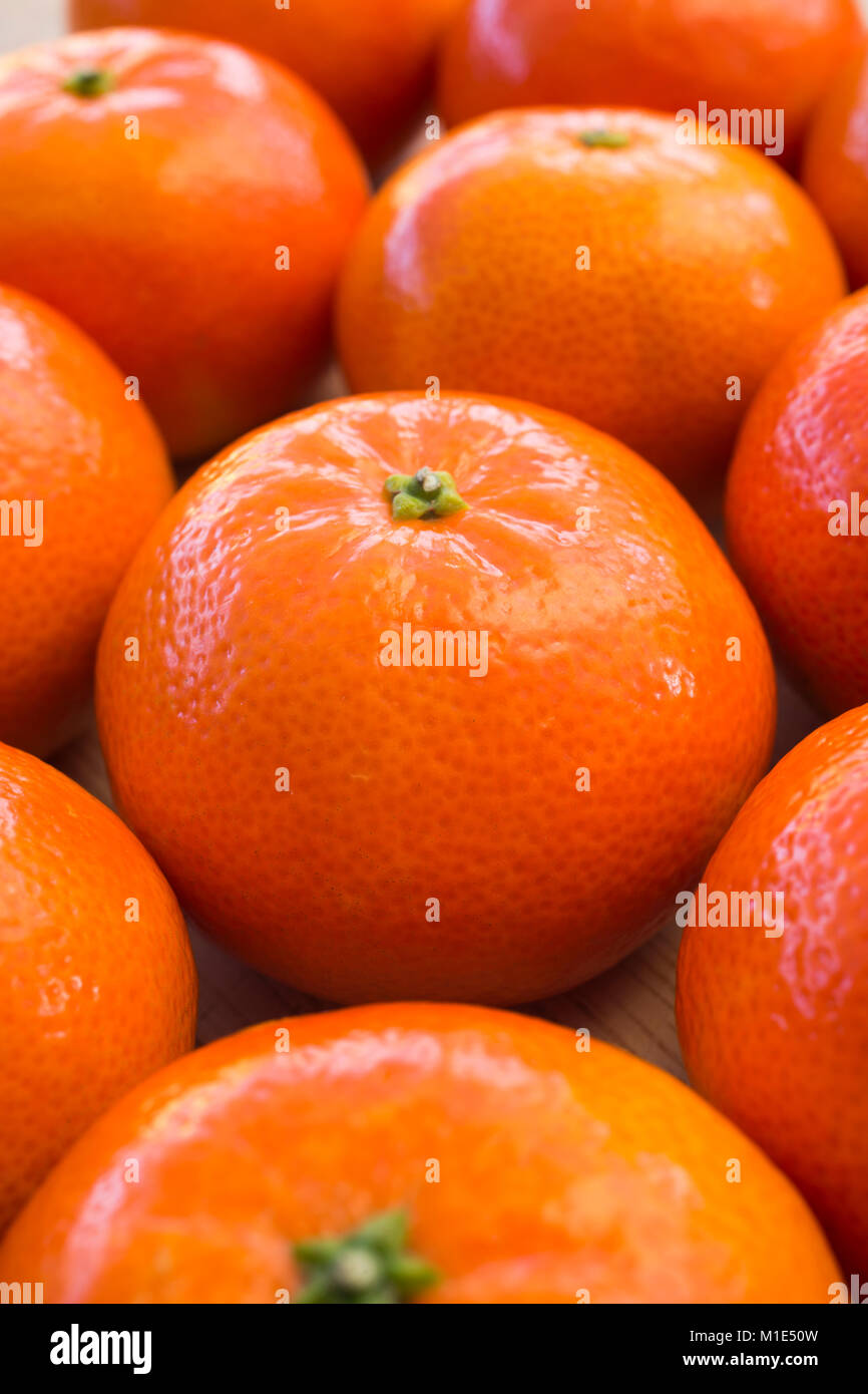 Nadorcott hires stock photography and images Alamy