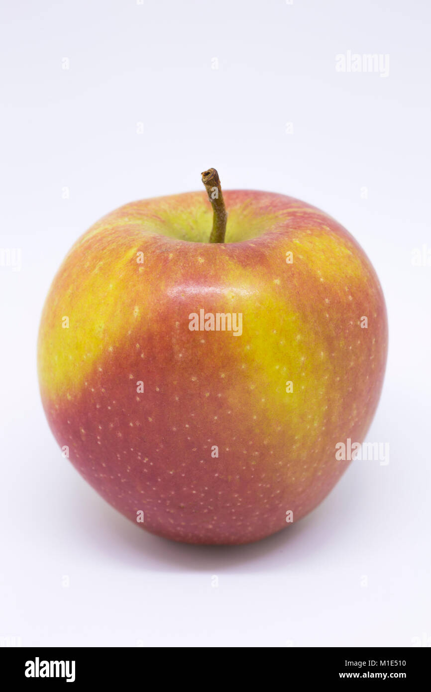 Malus domestica 'Braeburn' Stock Photo Alamy