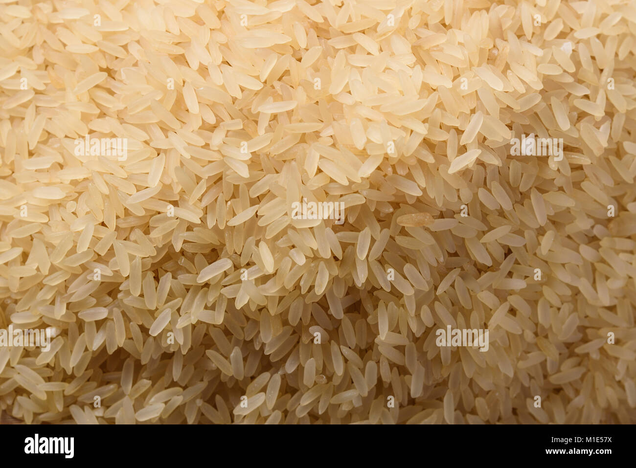 Parli Rice Closeup of uncooked parboiled rice grains top view Stock Photo - Alamy