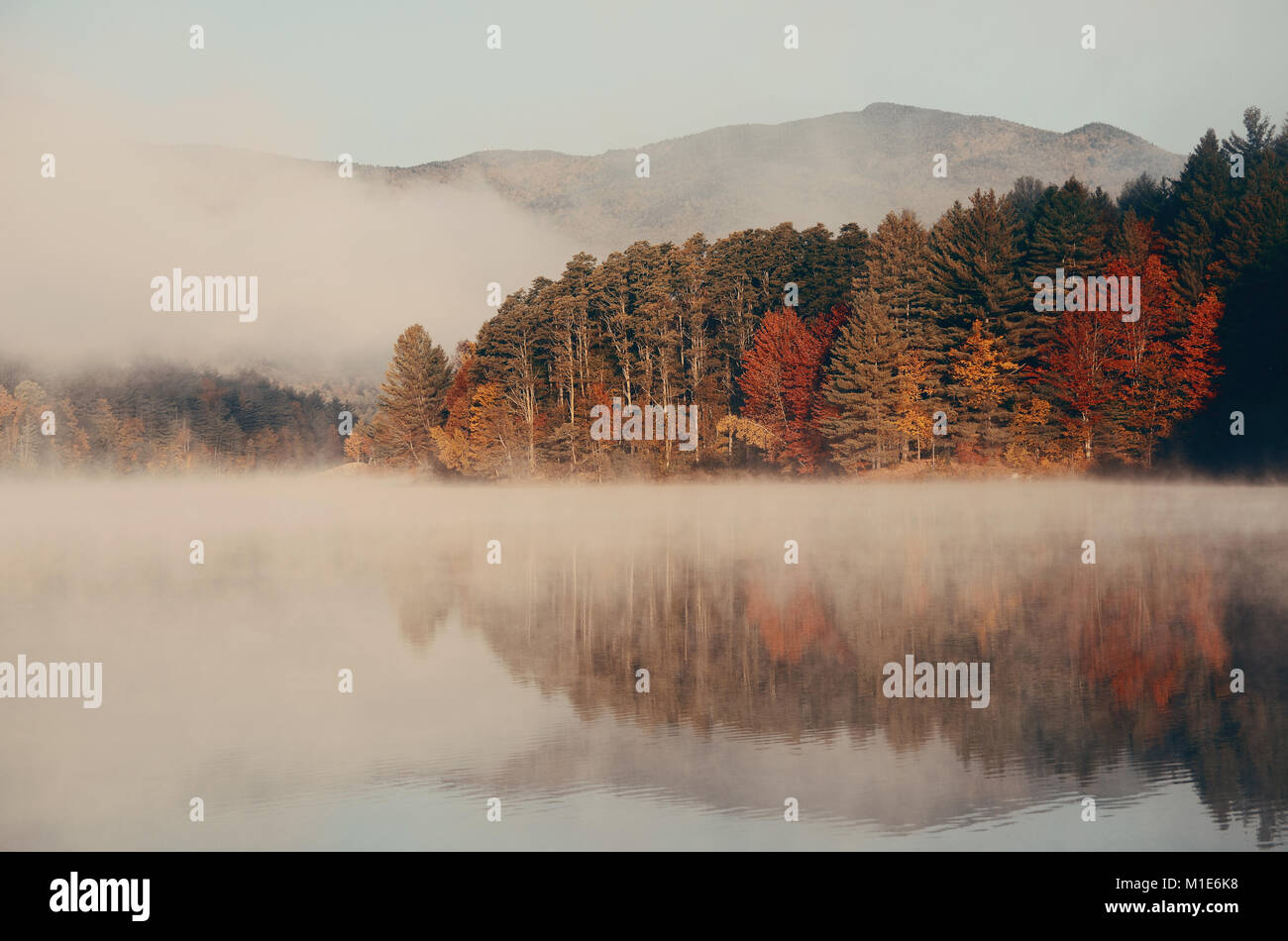 Autumn foliage and fog lake in morning Stock Photo - Alamy