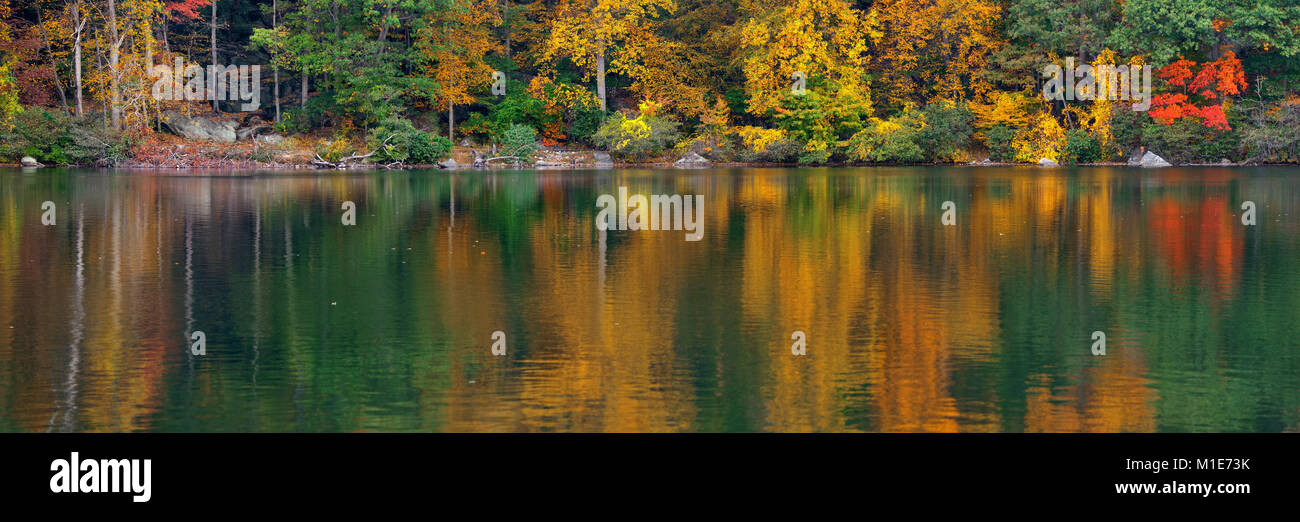 Autumn colorful foliage with lake reflection panorama Stock Photo - Alamy