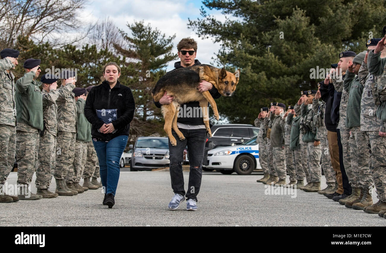 Members of the 436th Security Forces Squadron render a final salute to retired Military Working Dog Rico as his former handler and current owner, retired Tech. Sgt. Jason Spangenberg, carries him to the Veterinary Treatment Facility Jan. 24, 2018, on Dover Air Force Base, Del. Mya Spangenberg accompanied her father as they walked through the cordon. (U.S. Air Force Stock Photo