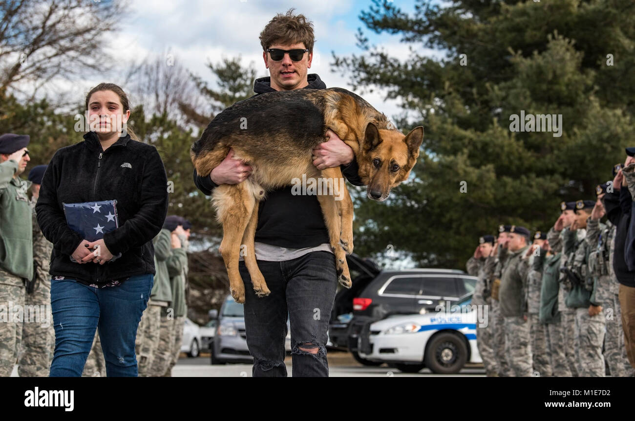 Members of the 436th Security Forces Squadron render a final salute to retired Military Working Dog Rico as his former handler, retired Tech. Sgt. Jason Spangenberg, carries him to the Veterinary Treatment Facility Jan. 24, 2018, on Dover Air Force Base, Del. Mya Spangenberg carried a U.S. flag as she accompanied her father. (U.S. Air Force Stock Photo