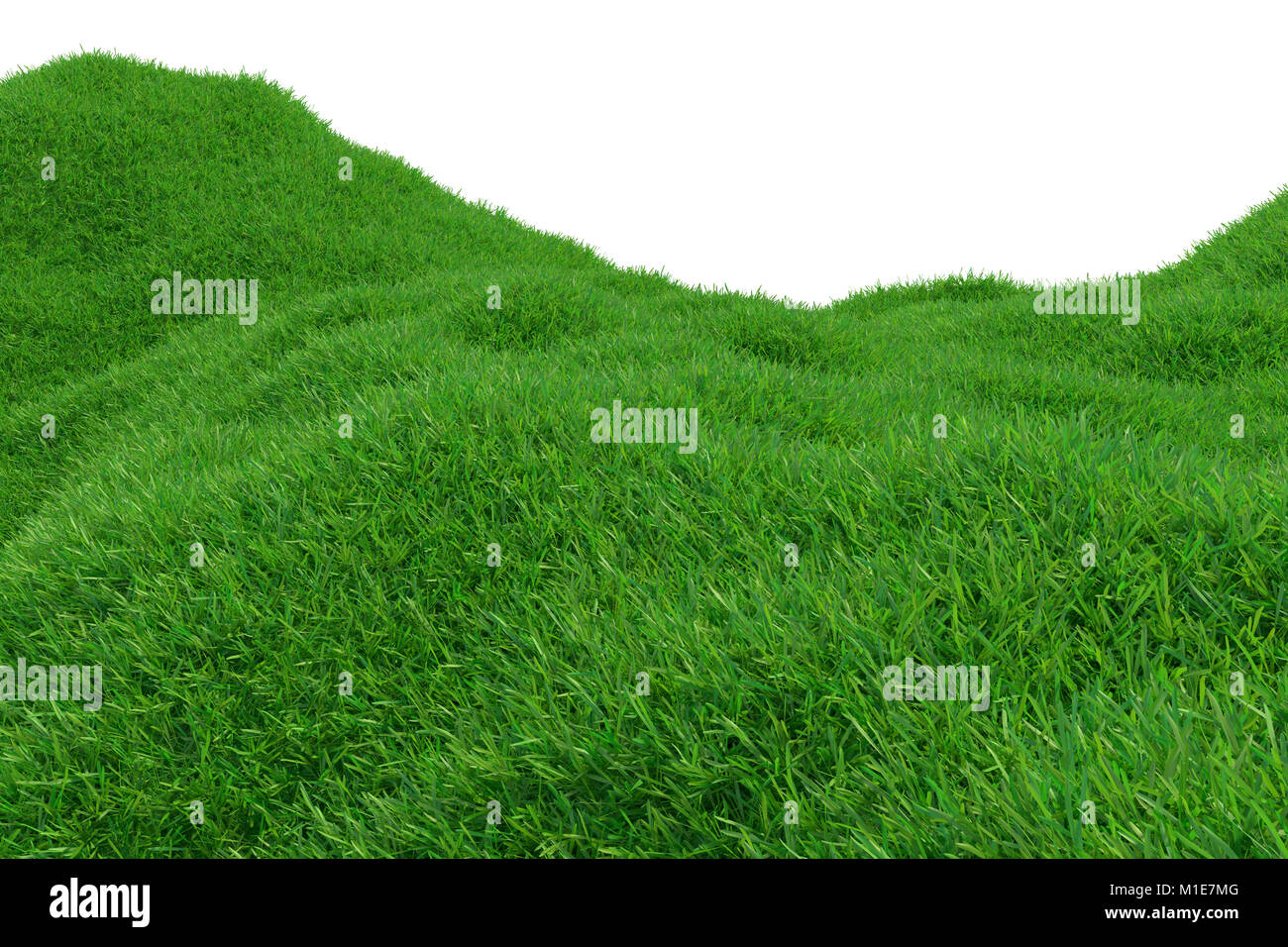 Green grass growing on hills with white background top view. 3d ...