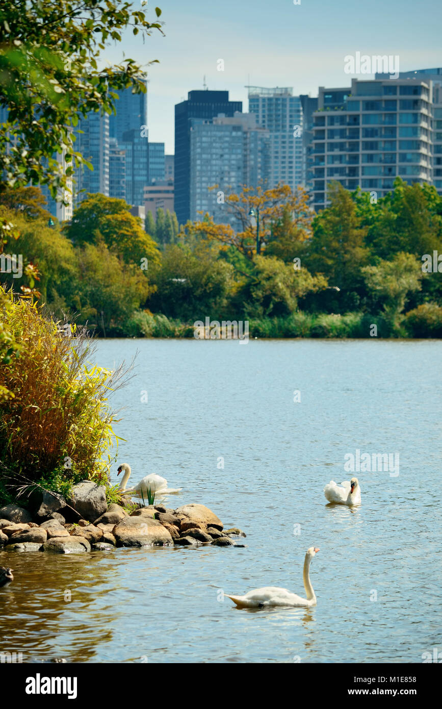 Vancouver city skyline viewed from Stanley Park Stock Photo - Alamy