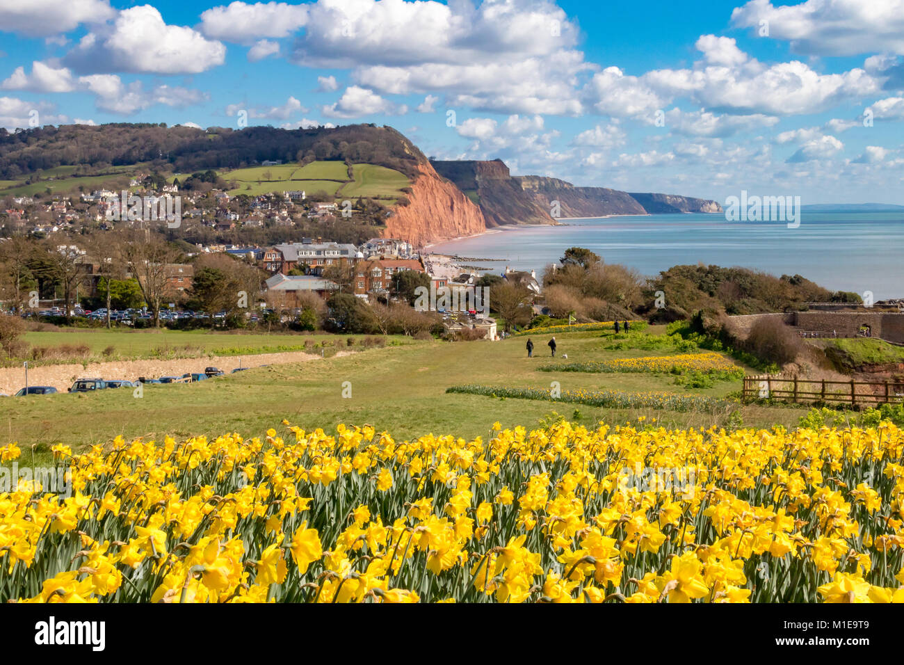 Devon Spring Time Sidmouth springtime hi-res stock photography and images - Alamy