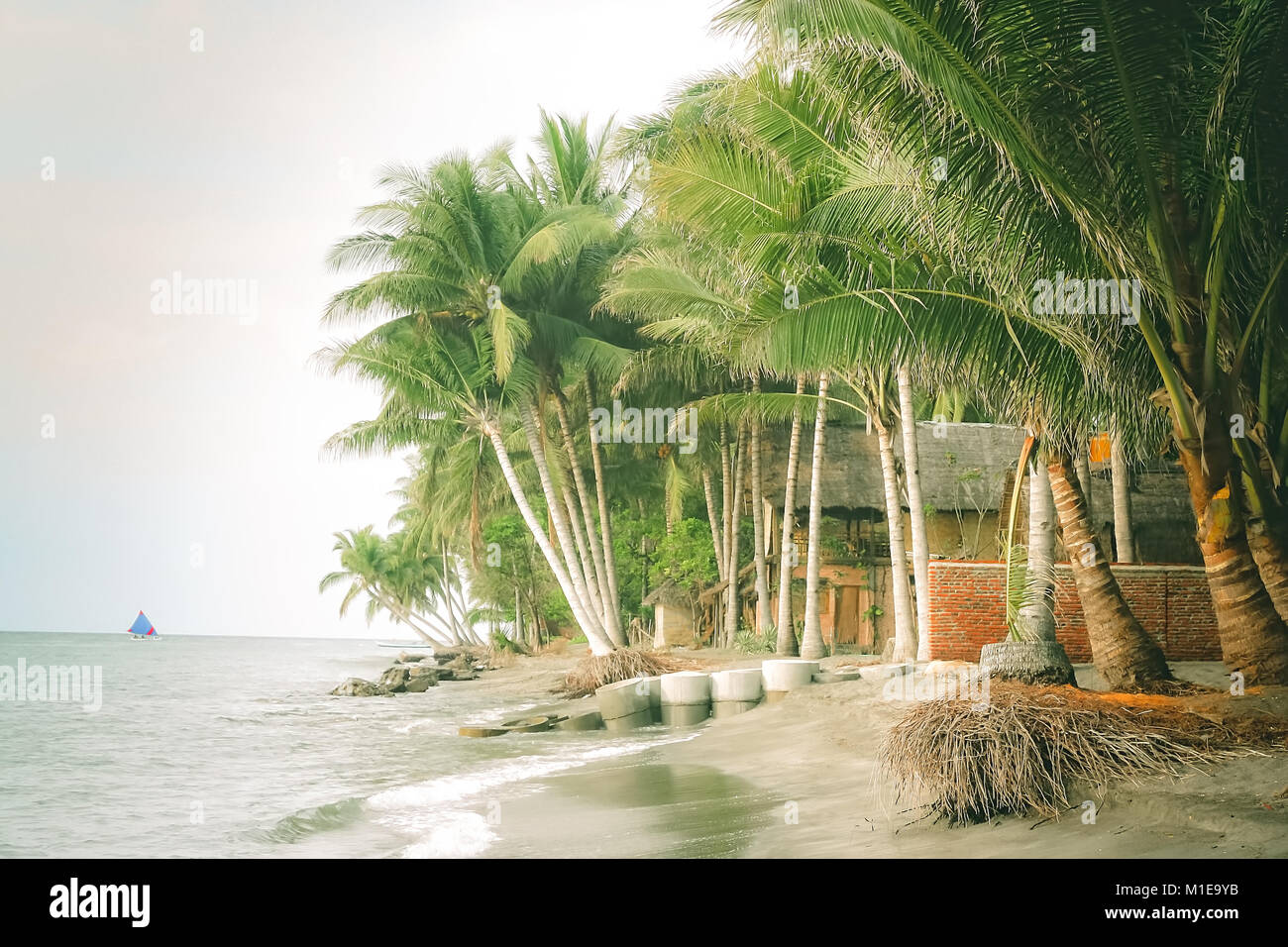 Palmtrees on the beach in a small village on the Lombok island, Indonesia, Asia Stock Photo