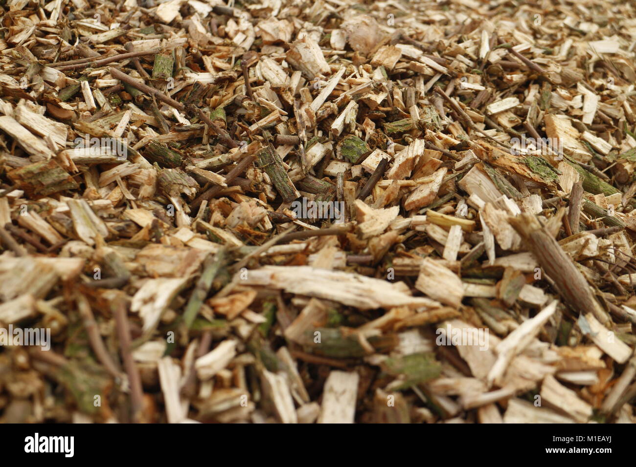 Wood chips on ground background Stock Photo Alamy