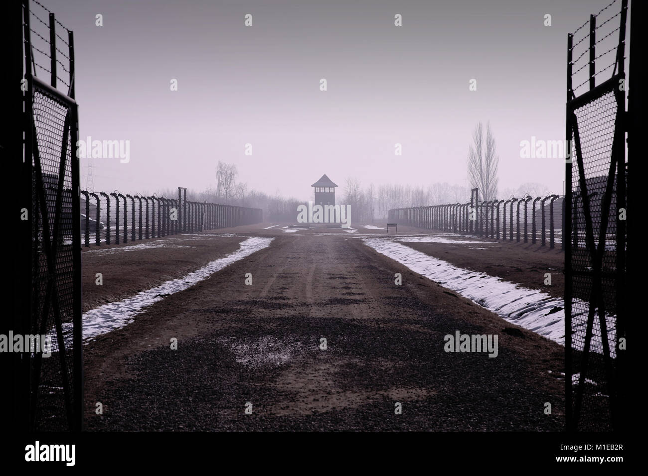 Open gates inside Auschwitz II - Birkenau Museum - Oswiecim - Poland Stock Photo