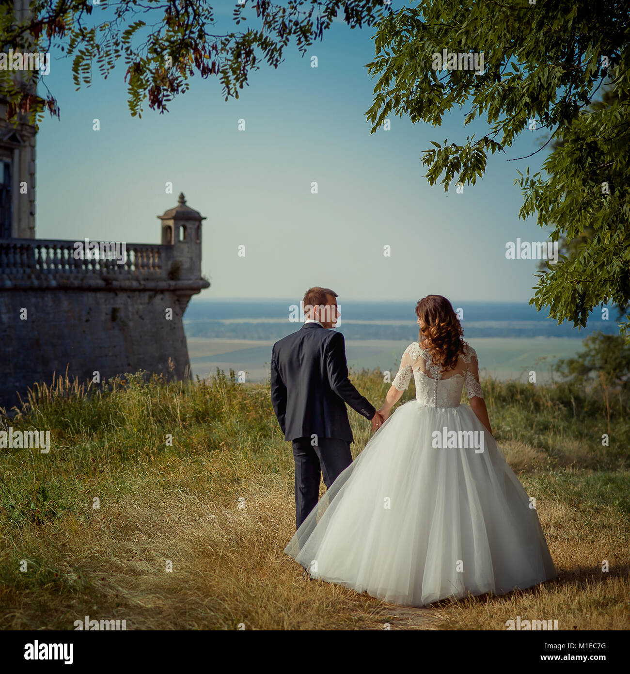 Back view of the stylish newlywed couple holding hands and enjoying the ...