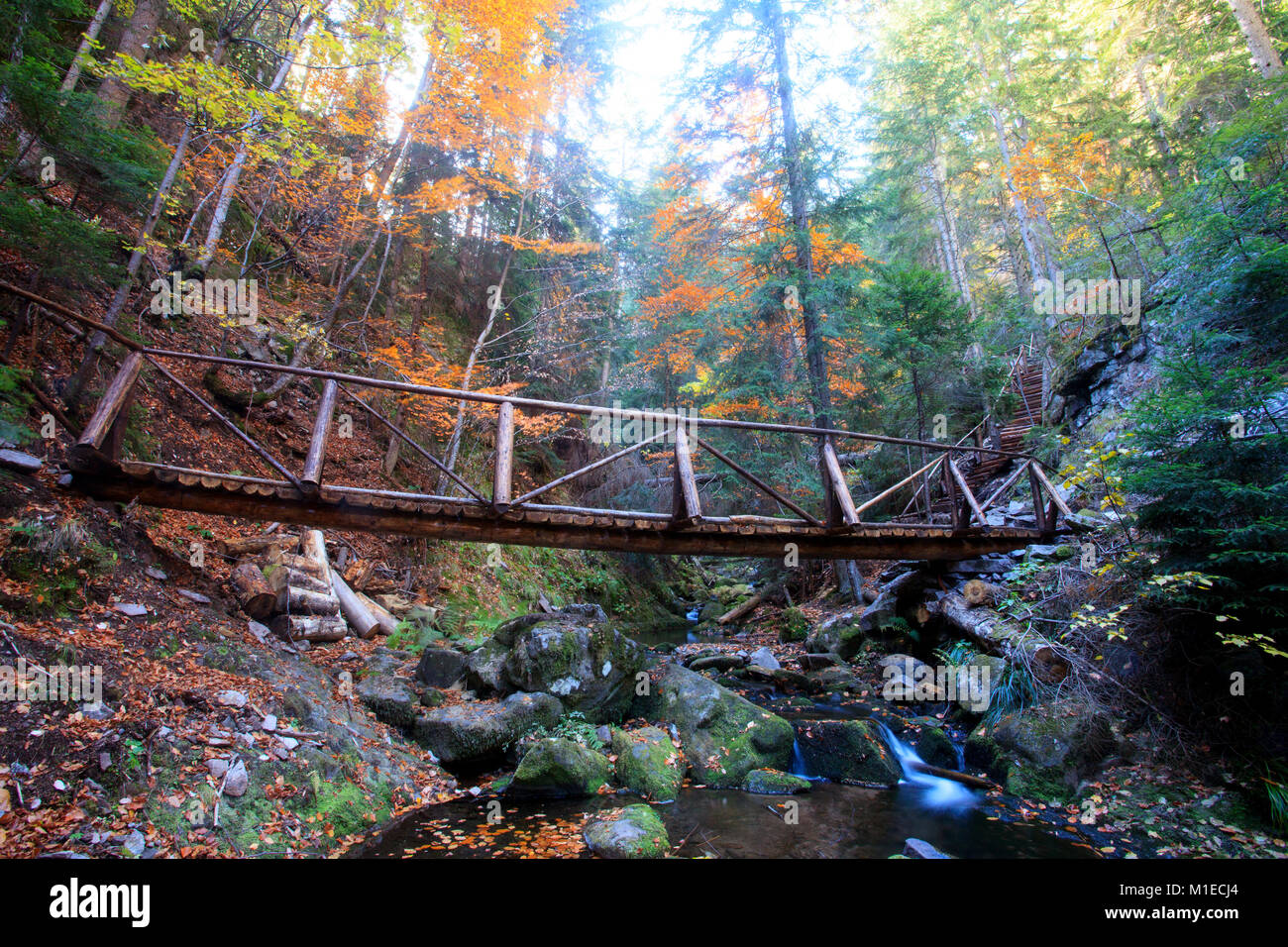 Decorative green yellow bridge hi-res stock photography and images - Alamy