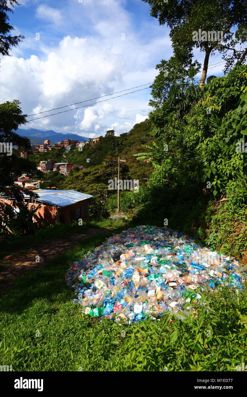 Pile of flattened plastic bottles dumped in vegetation next to footpath, Coroico, Yungas region, Bolivia Stock Photo