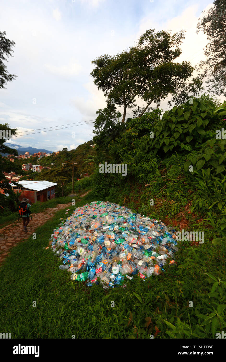 Tourist walking past pile of flattened plastic bottles dumped in vegetation next to footpath, Coroico, Yungas region, Bolivia Stock Photo
