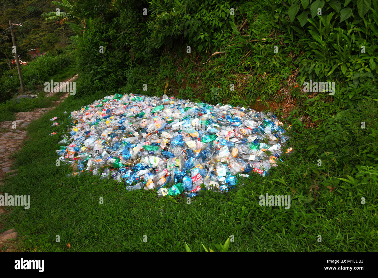 Pile of flattened plastic bottles dumped in vegetation next to footpath, Coroico, Yungas region, Bolivia Stock Photo