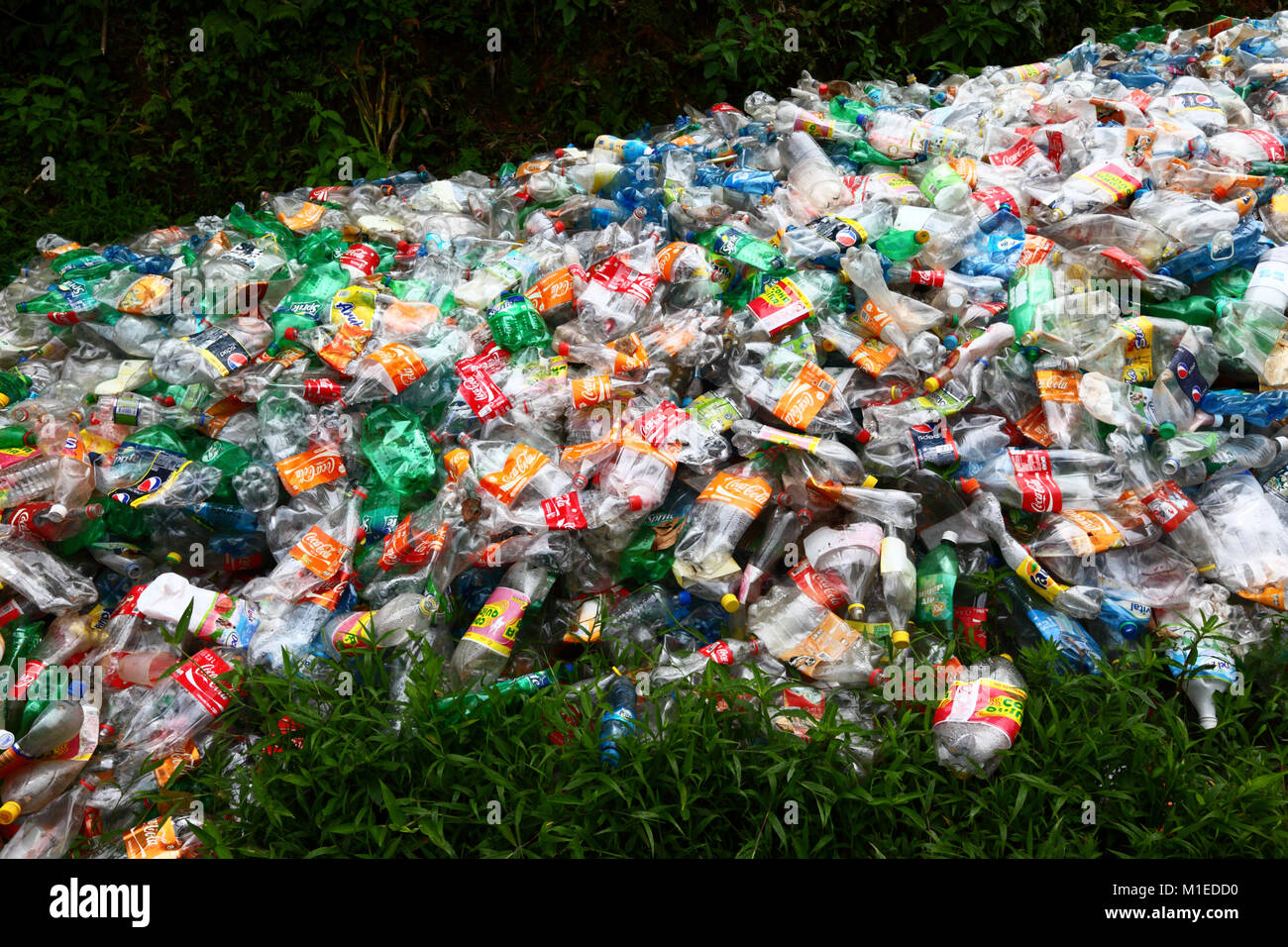 Pile of flattened Coca Cola and other plastic fizzy drink bottles dumped in vegetation Stock Photo