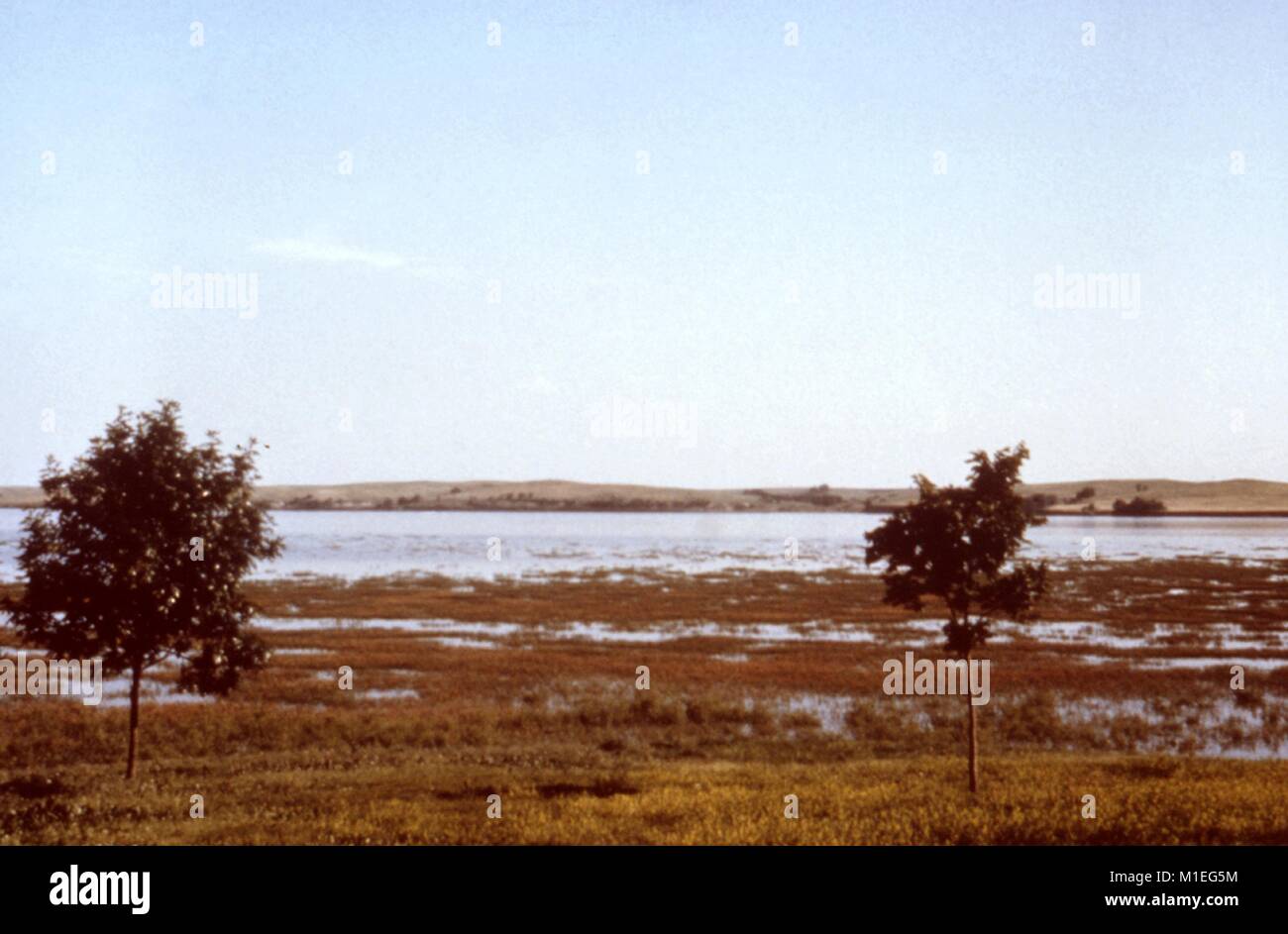 Landscape photograph of the marshy edge of a lake set in a flat, grassy area with two trees visible in the foreground and distant hills in the background, taken as part of an investigation into vector-borne diseases, Harlan County, Nebraska, 1976, 1976. Image courtesy CDC. () Stock Photo