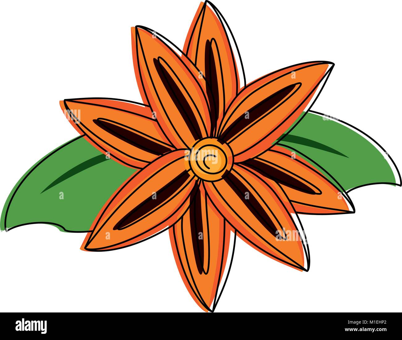 Beautiful flower isolated Stock Vector Image & Art - Alamy