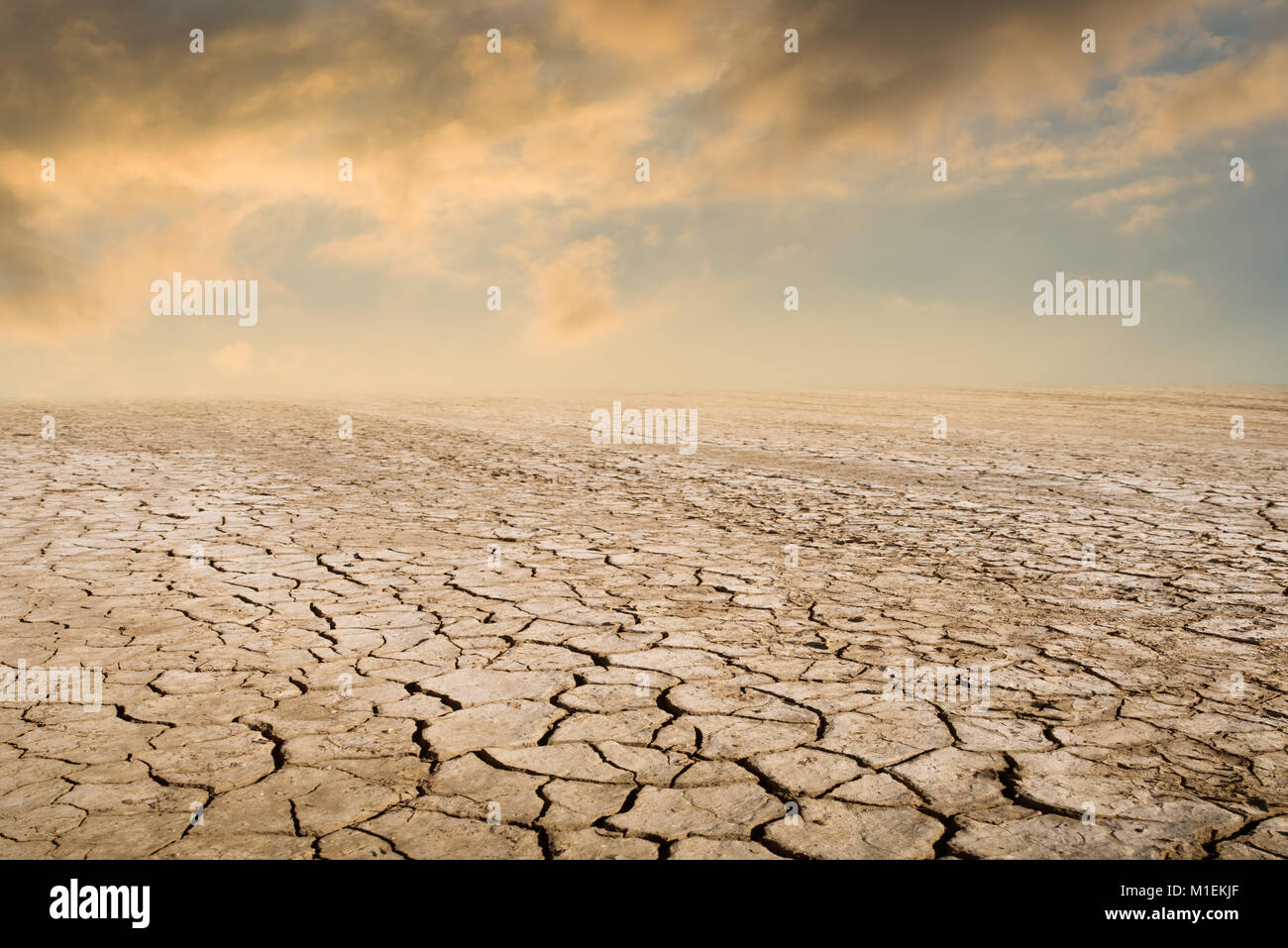 Drought land against a sunset sky with clouds Stock Photo