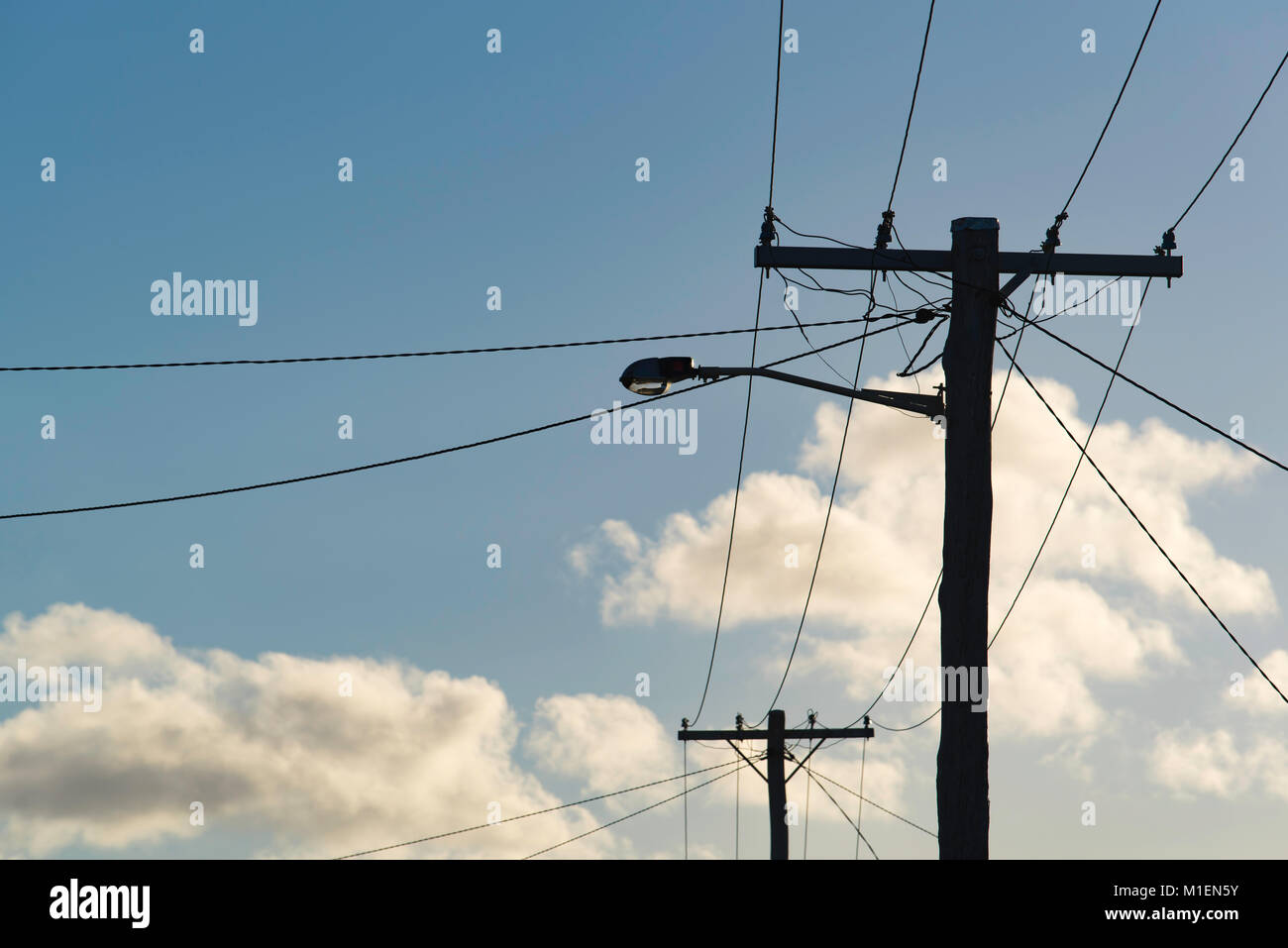 Silhouetted 11,000 volt power lines on timber power poles that provide power to houses in NSW, Australia Stock Photo
