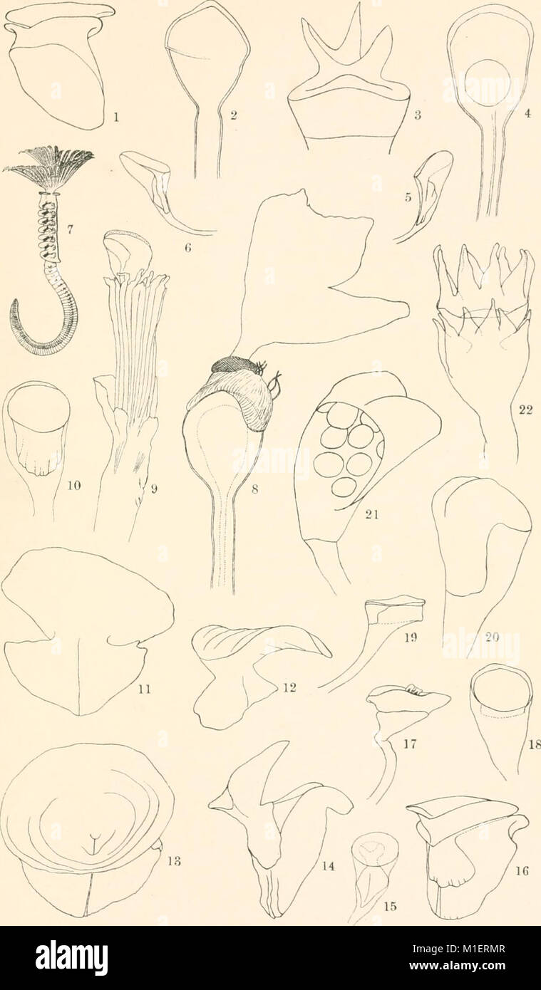A collection of historical accounts and reports detailing life ...