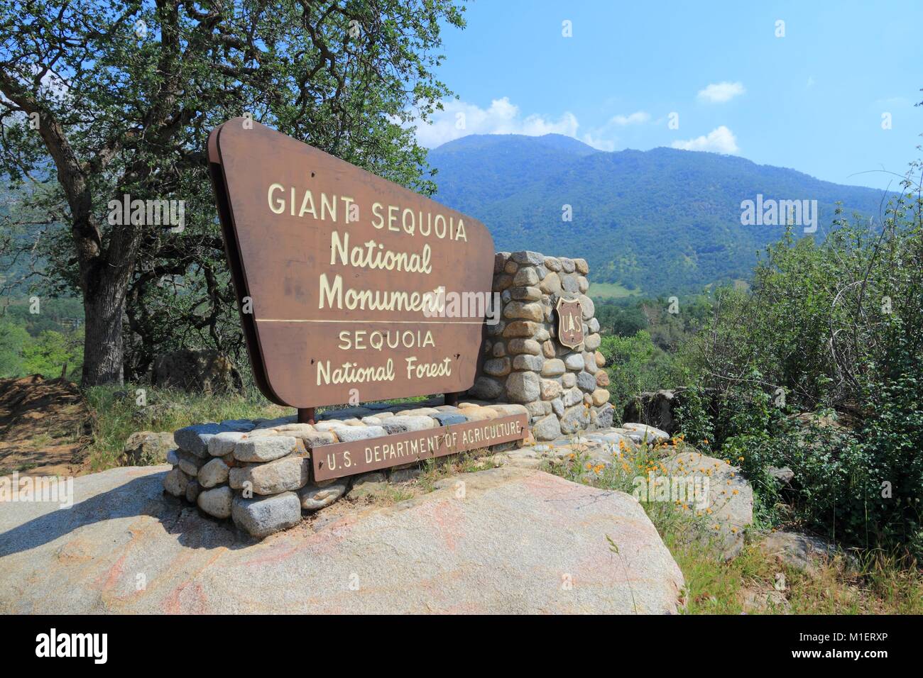 SPRINGVILLE, UNITED STATES - APRIL 12, 2014: Entrance sign to Giant Sequoia National Monument in California. National Monument was created in 2000 and Stock Photo