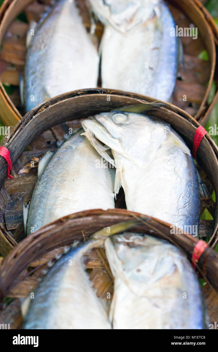 Mackerel fish in basket Stock Photo Alamy