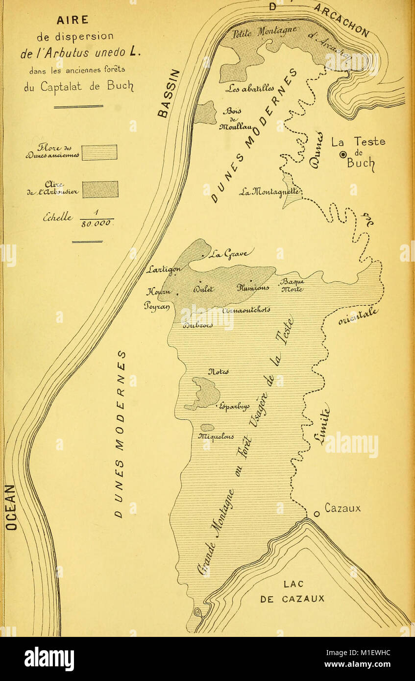 Actes de la Socilinnnne de Bordeaux (1899) (16584653808) Stock Photo