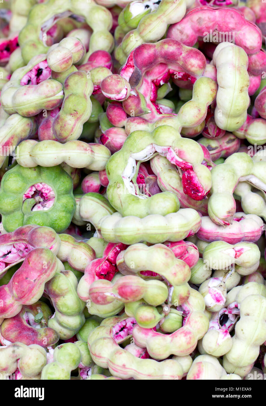 Manila tamarind fruit (Pithecellobium dulce Benth.) Stock Photo