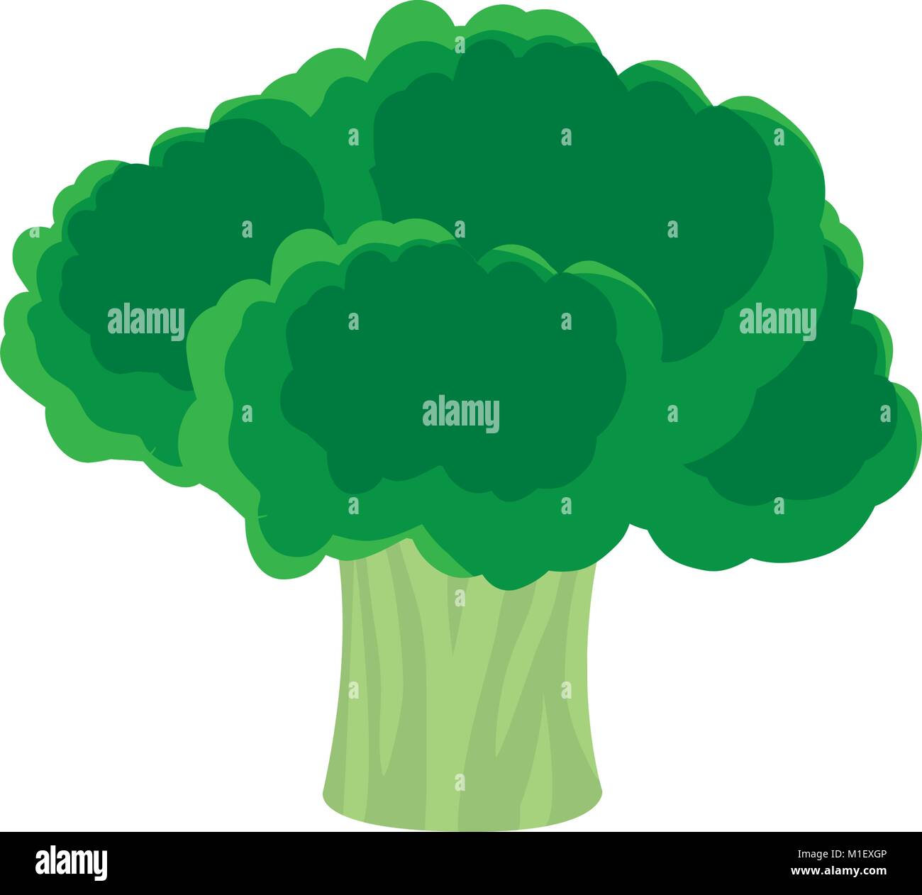 Isolated broccoli design Stock Vector Image & Art - Alamy