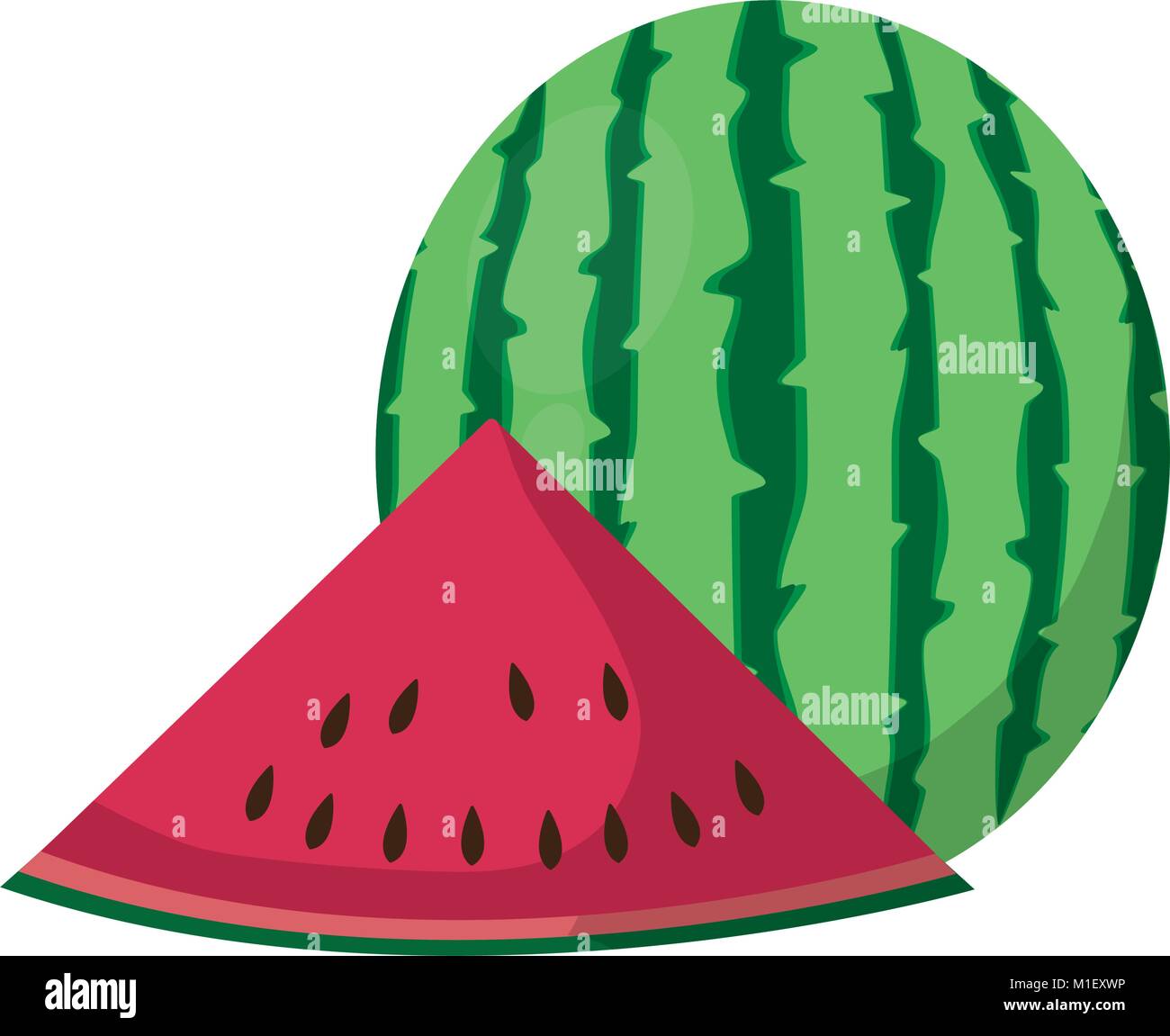 Isolated watermelon design Stock Vector Image & Art - Alamy