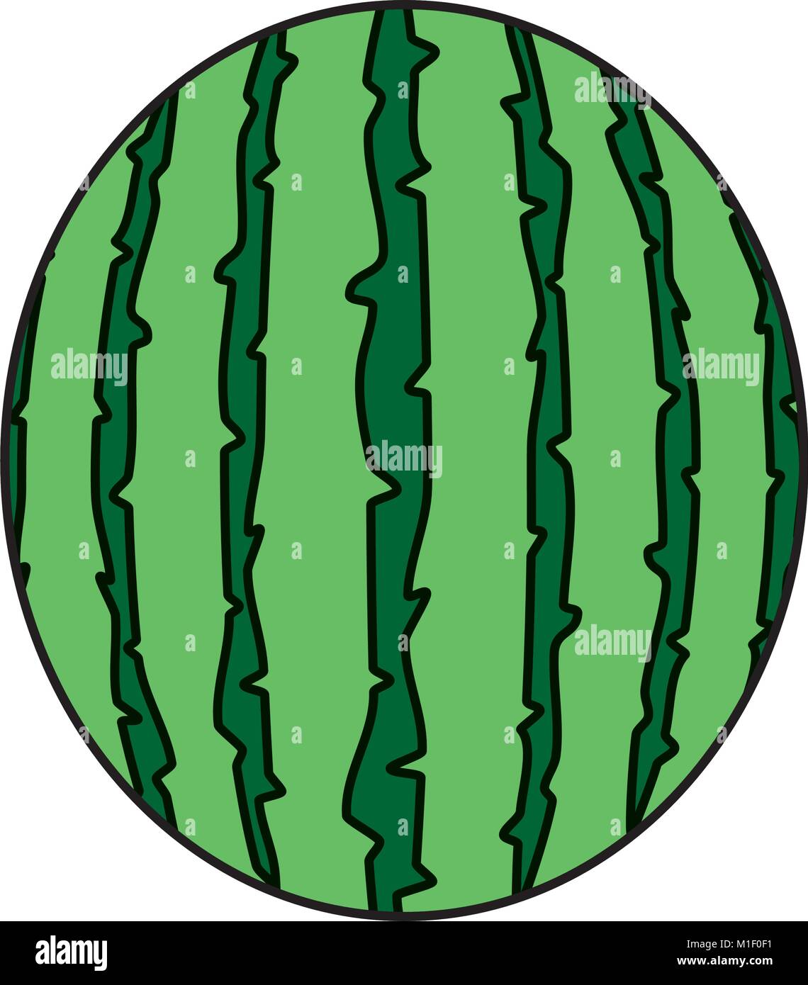Isolated watermelon design Stock Vector Image & Art - Alamy