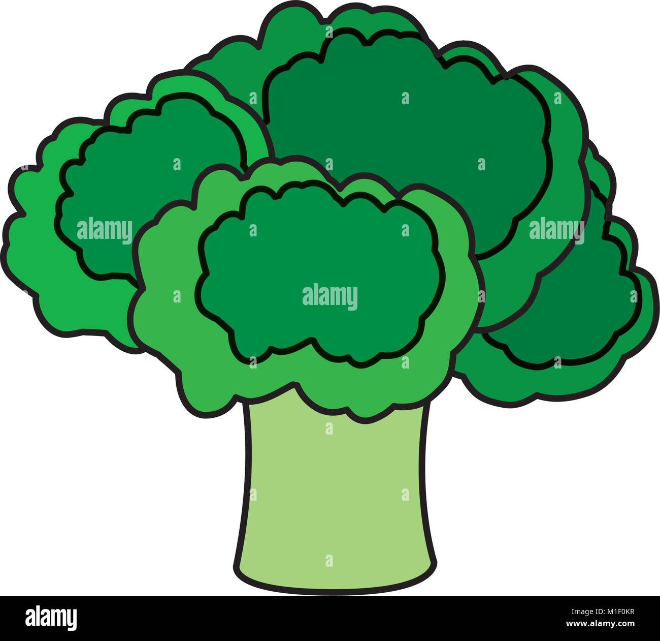 Isolated broccoli, design Stock Vector Image & Art Alamy