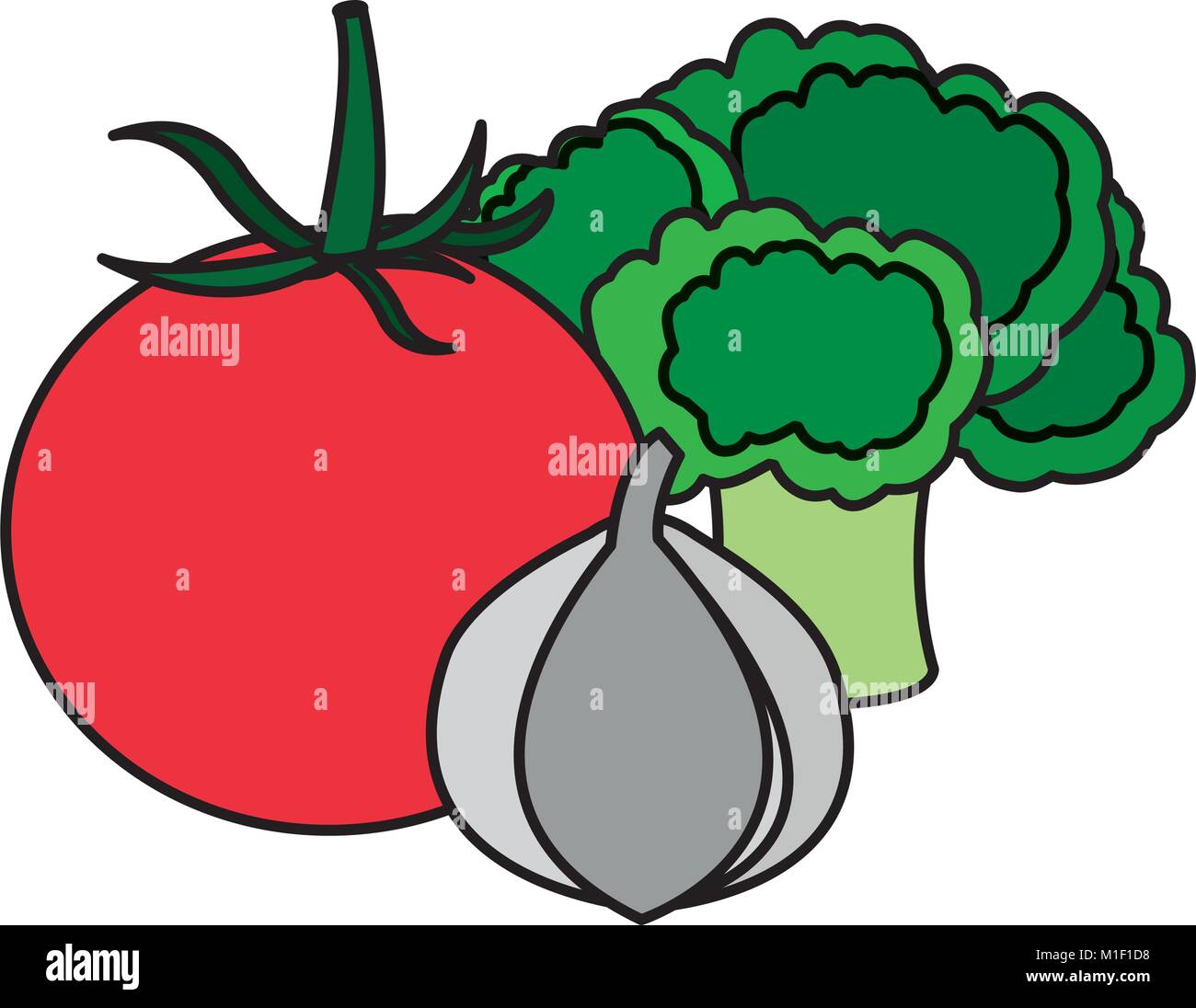 Isolated vegetables design Stock Vector Image & Art - Alamy