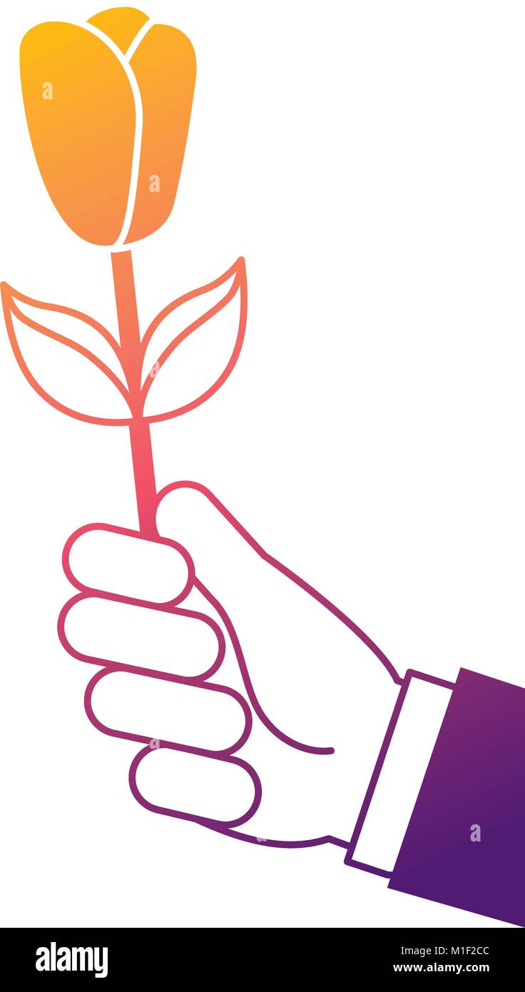 hand holding beautiful flower nature vector illustration Stock Vector ...